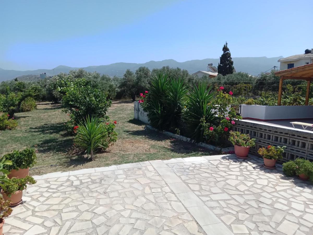 Villa Ampelia Sitia  Exteriör bild